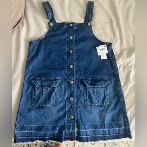 American Eagle Denim Overall Dress